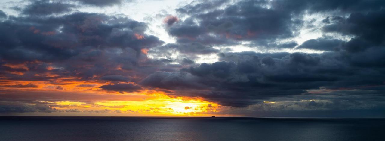 Shearwaters - Sounds Of The Sea Apartamento Funchal (Madeira)