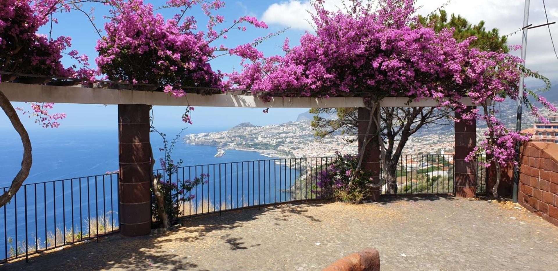 Apartamento Shearwaters - Sounds Of The Sea Funchal (Madeira)